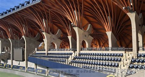 Pancho Aréna, Felcsút