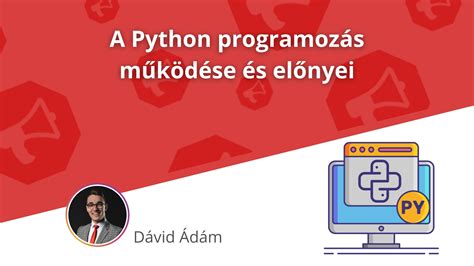 A TAO program működése és előnyei infografika