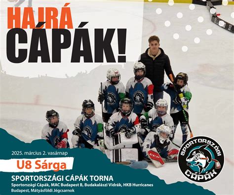 Miskolci jégkorongcsapat