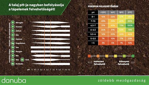 Növényi tápelemek infografika