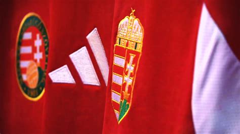 A magyar és a walesi labdarúgó-válogatott címerének összehasonlítása