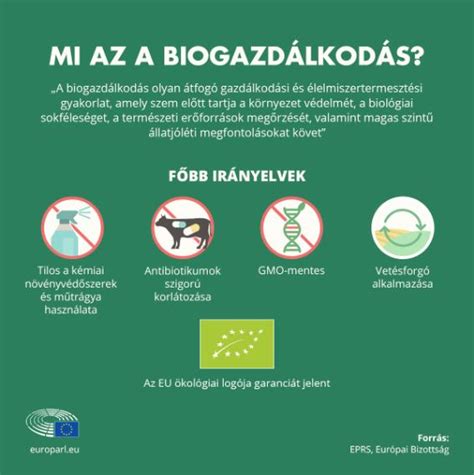 Infografika: Alkohol és kannabisz szabályok az Eb szurkolói zónáiban