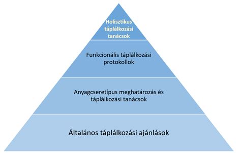 Egészségügyi mérések, táplálkozási tanácsadás