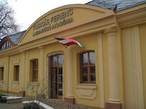 A Puskás Ferenc Labdarúgó Akadémia létesítményei