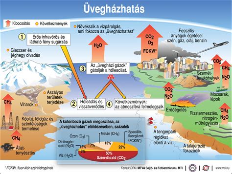 A Rozika esetét bemutató infografika a súlyos sérülésekkel és az ítélettel