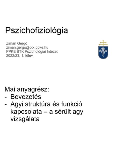 Szakmai sportegyesületi struktúra és a jogviszonyok kapcsolata