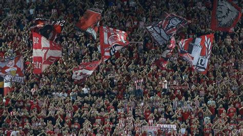 Görög szurkolók és rohamrendőrök összecsapása