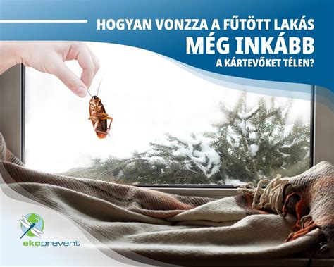 Fűtött labdarúgópálya télen