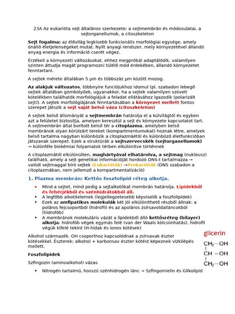 Egy labdarúgó-bajnokság állásának általános szerkezete