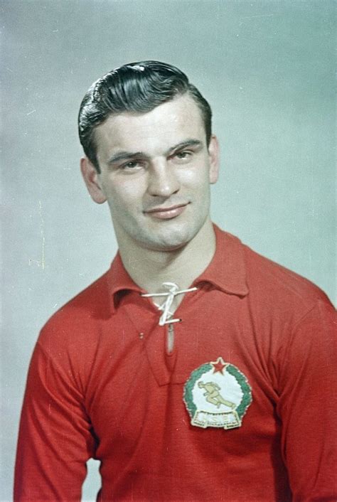 Kocsis Sándor fejesgólra készül