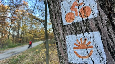 Családi kerékpártúra Dunaföldvár és Bölcske között