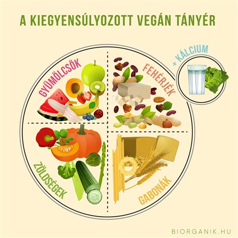 Tányér sportolóknak, egészséges ételekkel