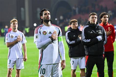 Labdarúgók a pályán, világbajnoki selejtező mérkőzésen